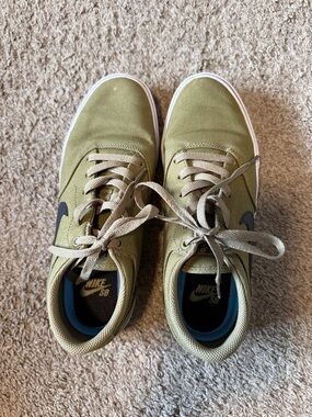 Men's Nike SB Olive Canvas Shoes